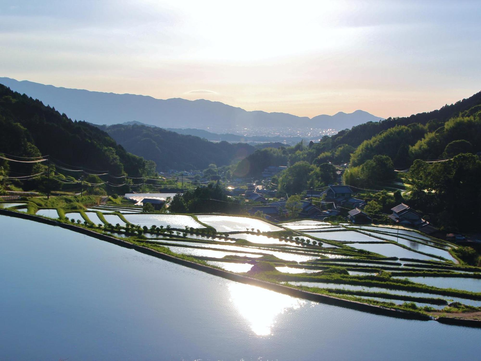 Grand Mercure Nara Kashihara Kashihara (Nara) Exterior foto
