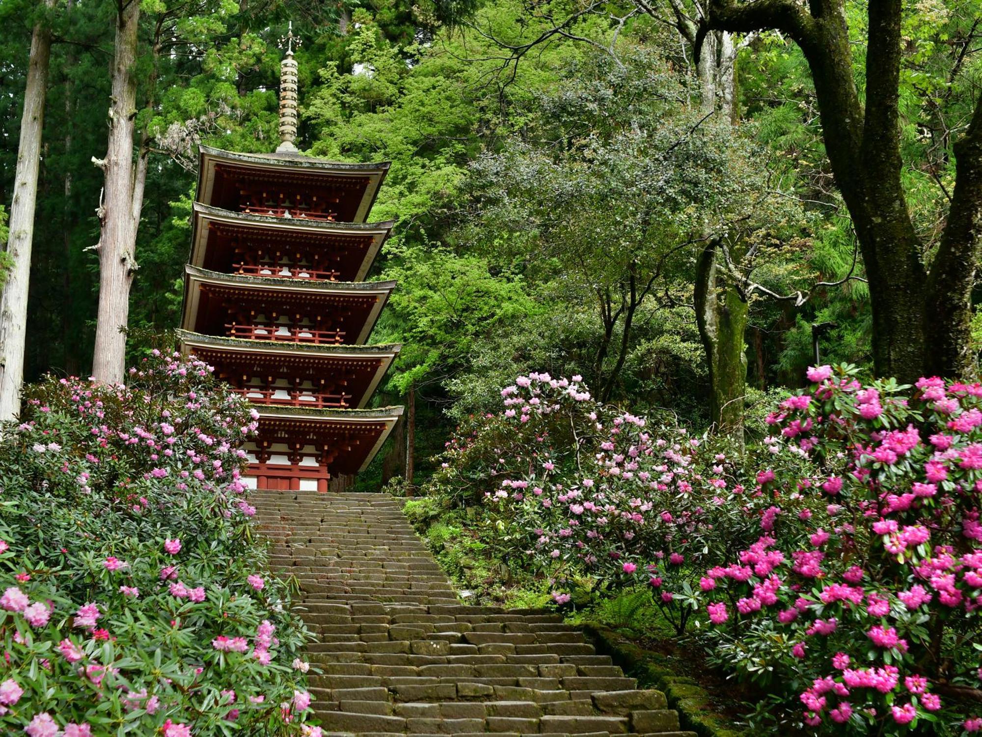 Grand Mercure Nara Kashihara Kashihara (Nara) Exterior foto